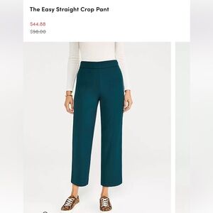 NWT- Ann Taylor pants